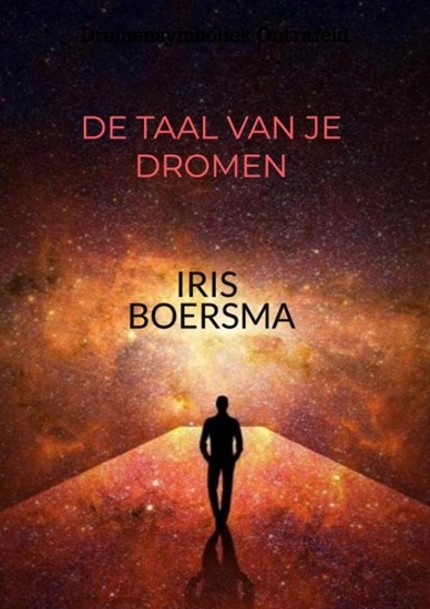 Afbeelding van DE TAAL VAN JE DROMEN