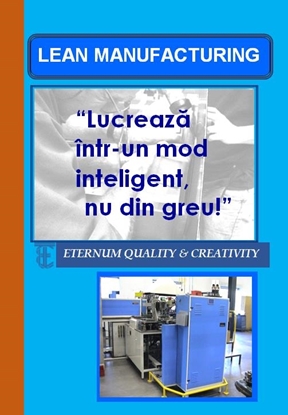 Afbeeldingen van Carte de buzunar Lean Manufacturing