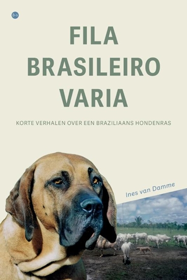Afbeelding van Fila Brasileiro Varia
