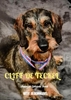 Afbeelding van Cliff de Teckel, een hond van goud