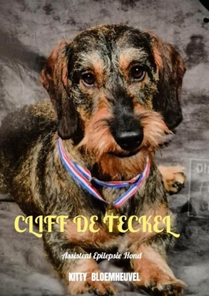 Afbeeldingen van Cliff de Teckel, een hond van goud
