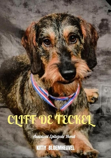 Afbeelding van Cliff de Teckel, een hond van goud