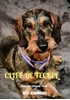 Afbeelding van Cliff de Teckel, een hond van goud