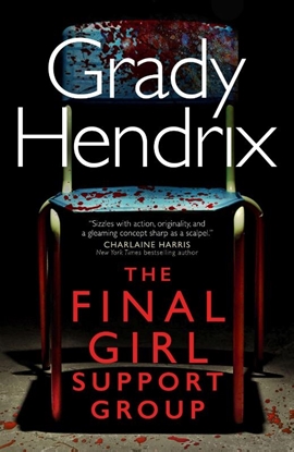 Afbeeldingen van The Final Girl Support Group