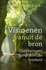 Afbeelding van Visioenen vanuit de bron