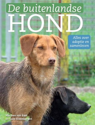 Afbeeldingen van De buitenlandse hond