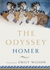 Afbeelding van The Odyssey