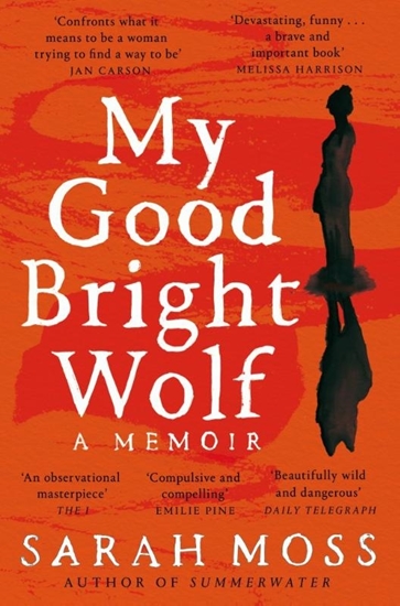Afbeelding van My Good Bright Wolf