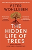 Afbeelding van The Hidden Life of Trees