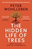Afbeelding van The Hidden Life of Trees