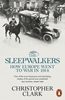 Afbeelding van The Sleepwalkers