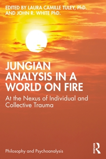 Afbeelding van Philosophy and Psychoanalysis Jungian Analysis in a World on Fire