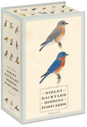 Afbeeldingen van Sibley Birds Sibley Backyard Birding Postcards