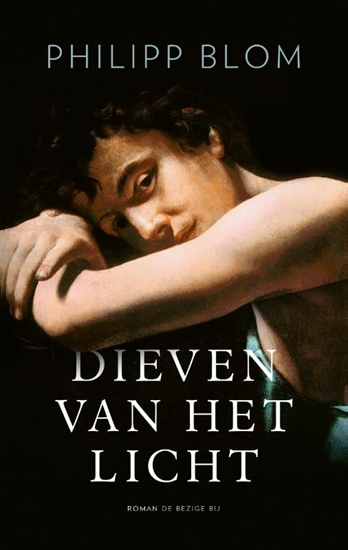 Afbeelding van Dieven van het licht