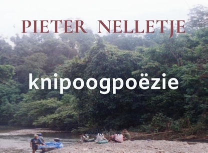 Afbeeldingen van knipoogpoëzie