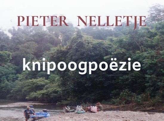 Afbeelding van knipoogpoëzie