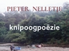 Afbeelding van knipoogpoëzie