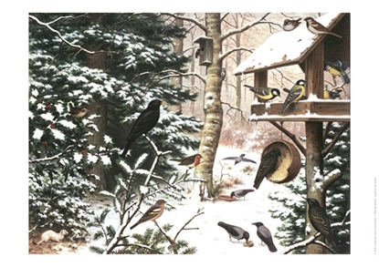 Afbeeldingen van Schoolplaat Vogels in de Winter