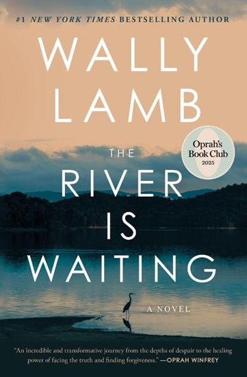 Afbeelding van The River Is Waiting (Oprah's Book Club)