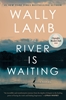 Afbeelding van The River Is Waiting (Oprah's Book Club)