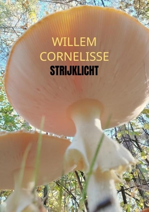 Afbeeldingen van Strijklicht