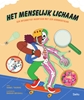 Afbeelding van Het menselijk lichaam.