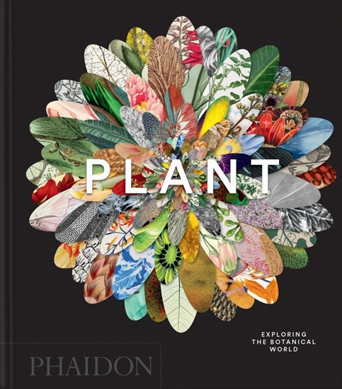 Afbeelding van Phaidon Compacts Plant