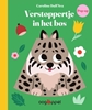 Afbeelding van Verstoppertje in het bos!