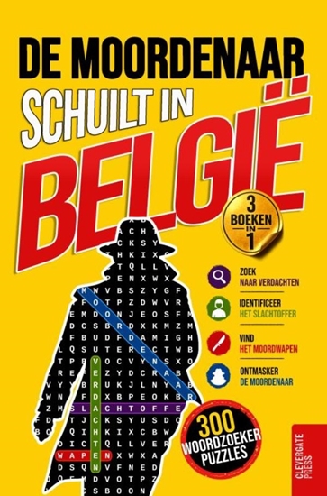 Afbeelding van De moordenaar schuilt in België