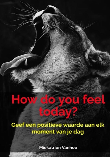 Afbeelding van How do you feel today?