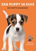 Afbeelding van Een puppy in huis