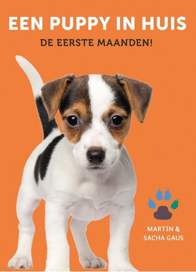Afbeelding van Een puppy in huis