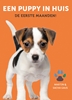Afbeelding van Een puppy in huis