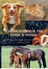 Afbeelding van SCHWARZKÜMMELÖL FÜR HUNDE & PFERDE