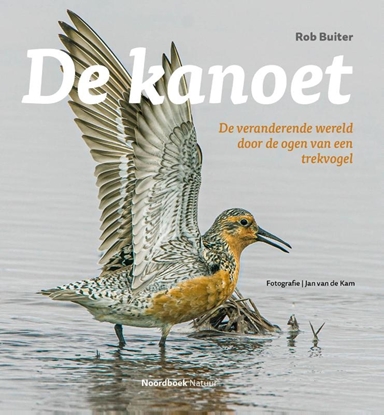 Afbeeldingen van De kanoet