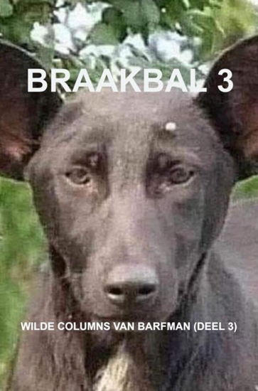 Afbeelding van Braakbal 3