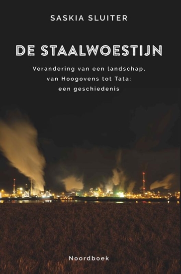 Afbeelding van De staalwoestijn