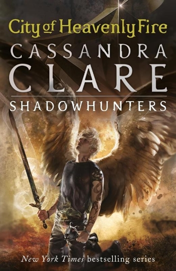 Afbeelding van The Mortal Instruments The Mortal Instruments 6: City of Heavenly Fire