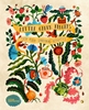 Afbeelding van Little Green Fingers