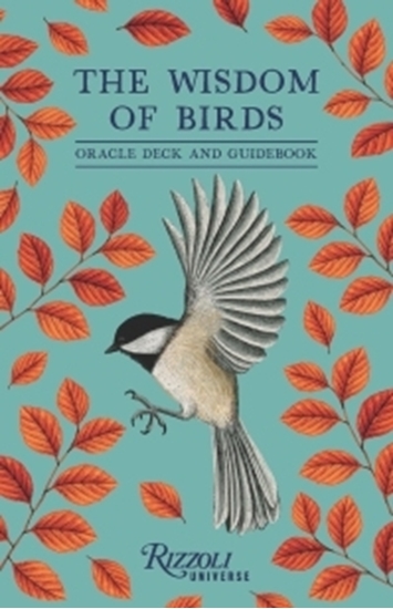Afbeelding van The Wisdom of Birds