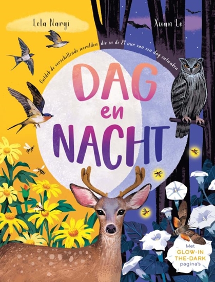Afbeelding van Dag en nacht