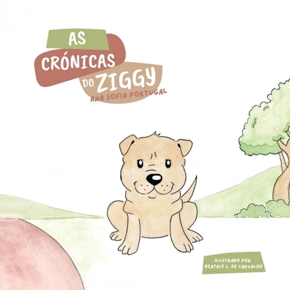 Afbeeldingen van As Crónicas do Ziggy