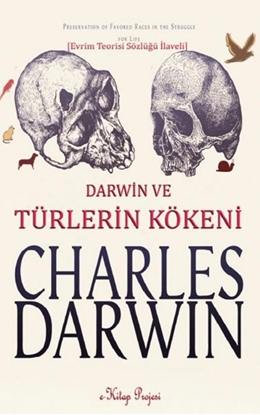 Afbeeldingen van Türlerin Kökeni