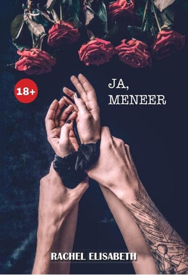Afbeelding van Ja, meneer
