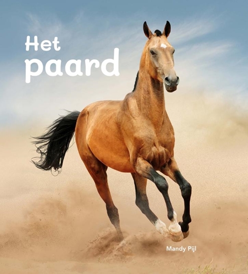 Afbeelding van Het paard