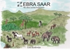 Afbeelding van Zebra Saar
