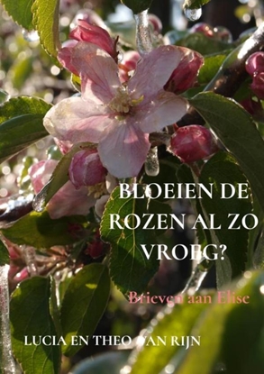 Afbeeldingen van Bloeien de rozen al zo vroeg?