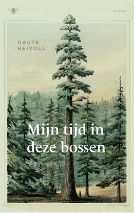 Afbeeldingen van Mijn tijd in deze bossen
