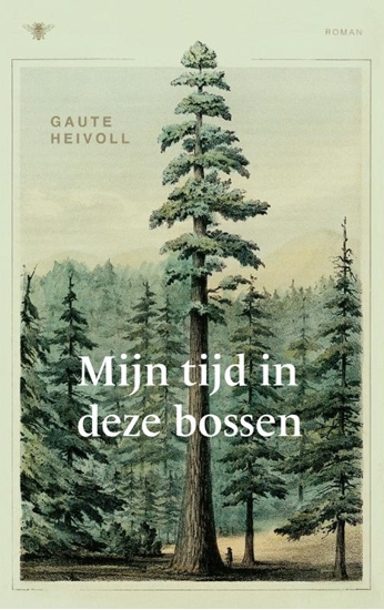 Afbeelding van Mijn tijd in deze bossen