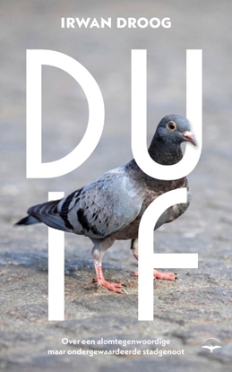 Afbeeldingen van Duif